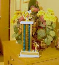 Our first win! - LOL Our first win!